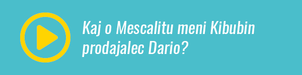 месцалито_кбз_видео2