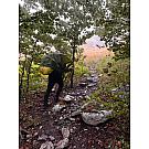 Иате Понцхо Цапе