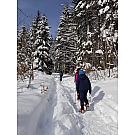 Црампонс Верига Лесце Моунт Трацк